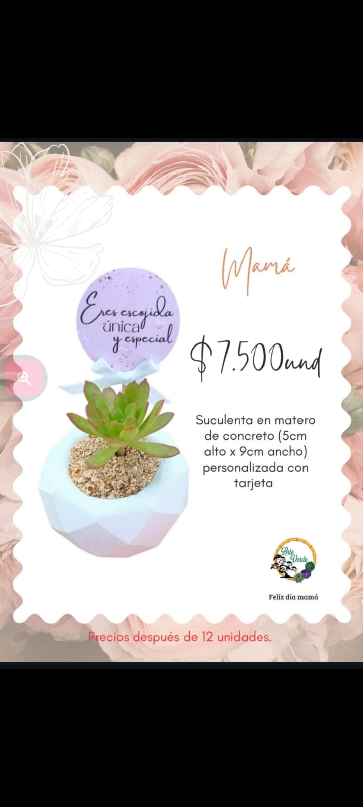 Suculenta en matero de concreto