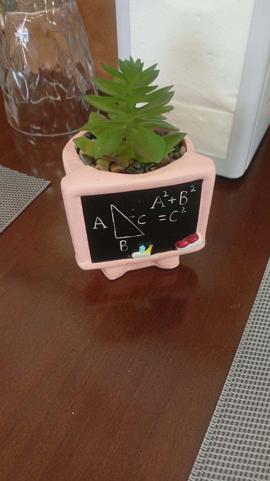 Maceta creativa con suculenta