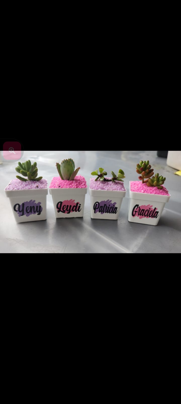 Macetas personalizadas con suculentas