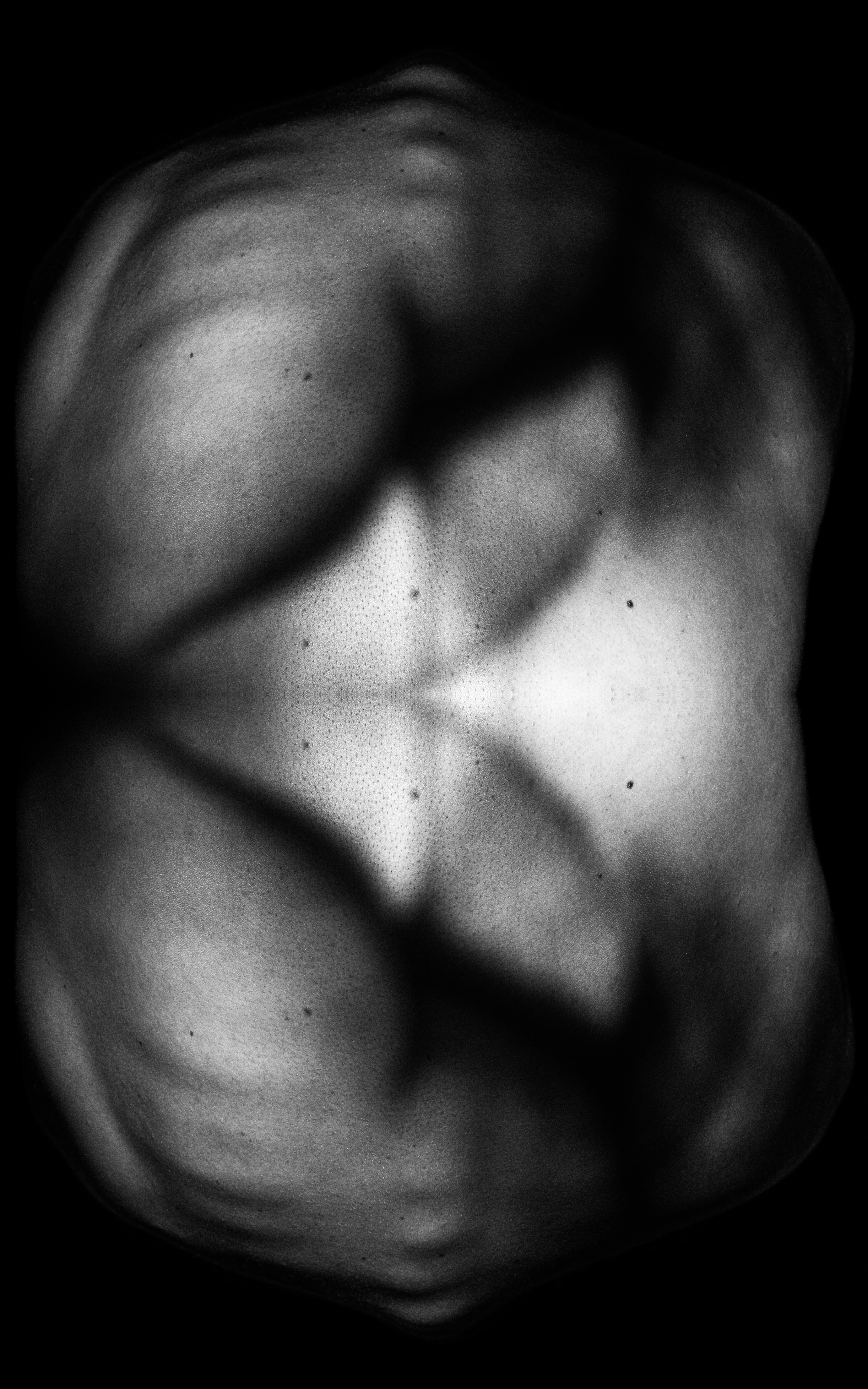 "Flesh Butterfly" by Delaney Kibler
