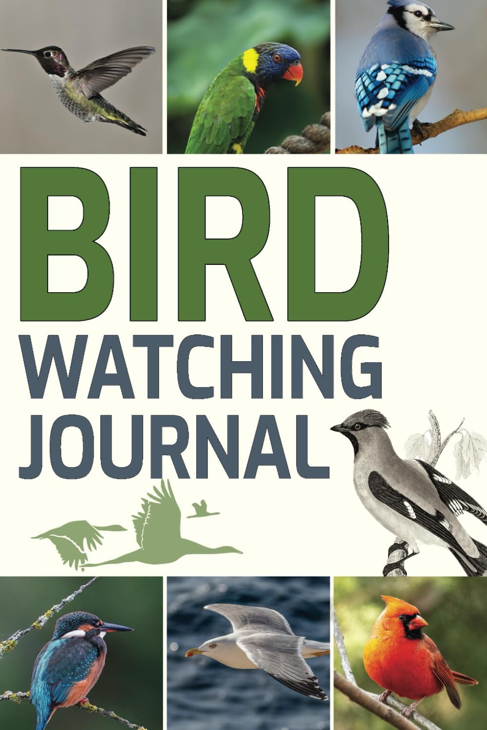 Bird Watching Journal