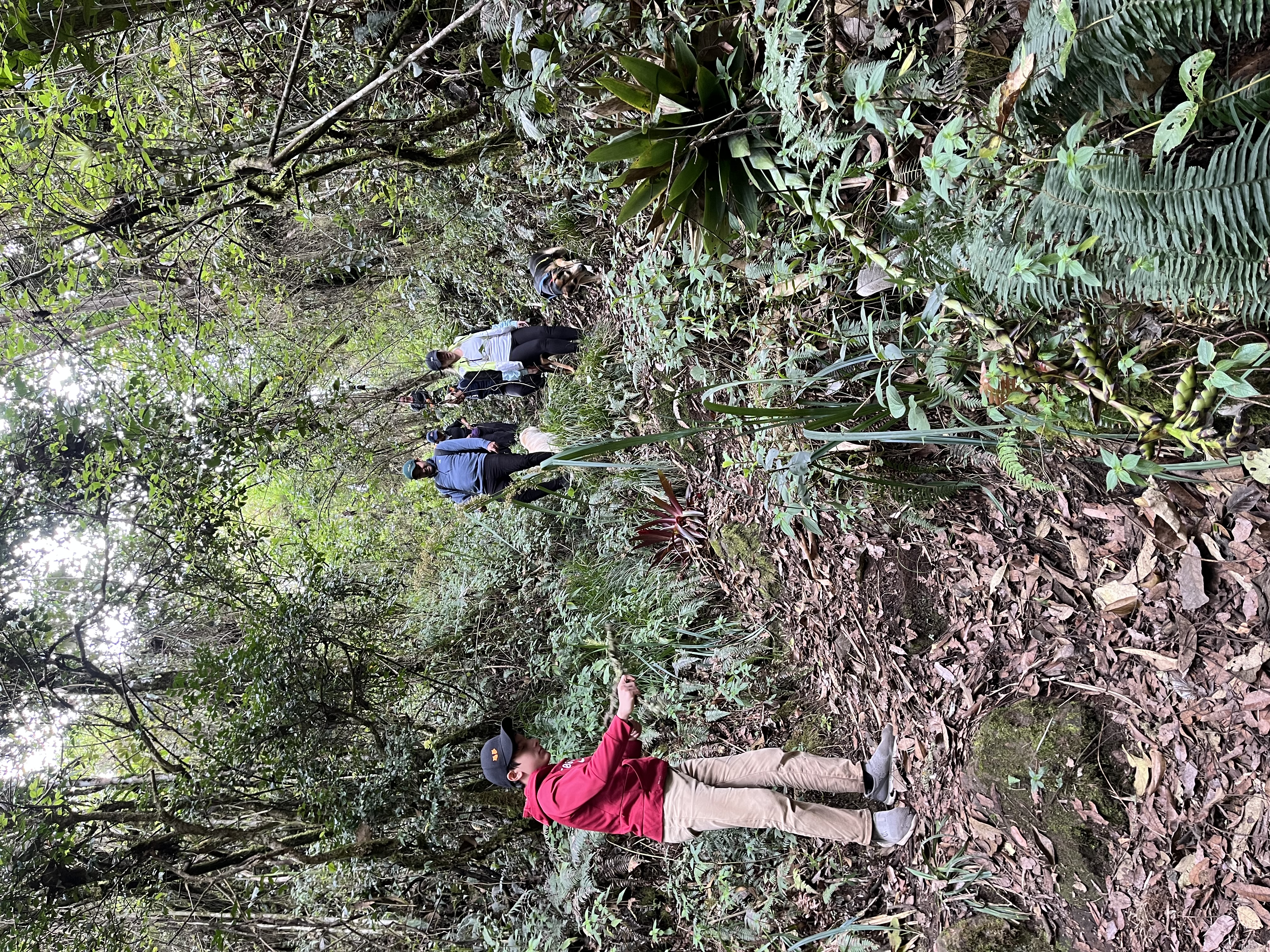 Peña de las Águilas 