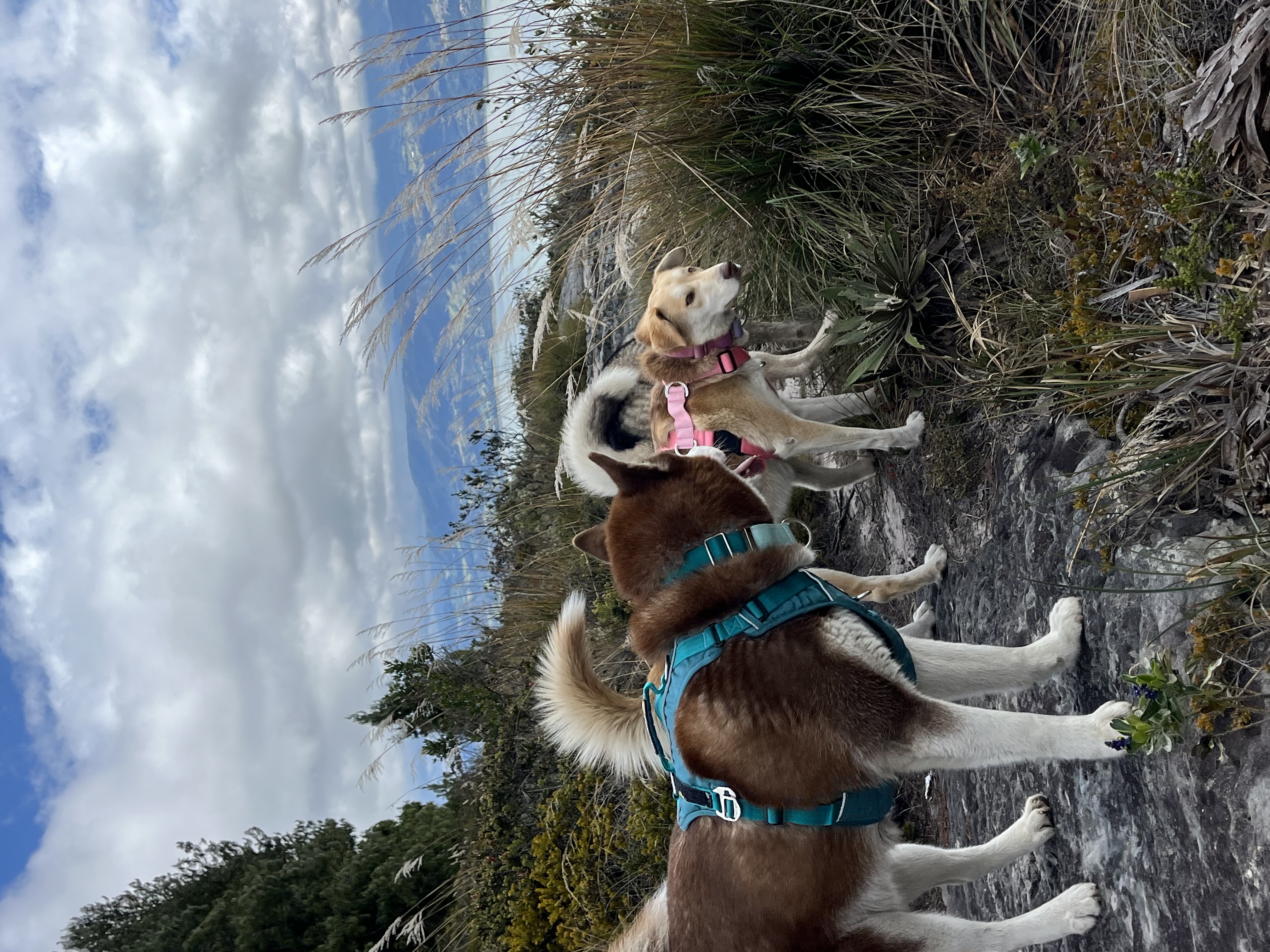 Caminata Tominé de Blancos