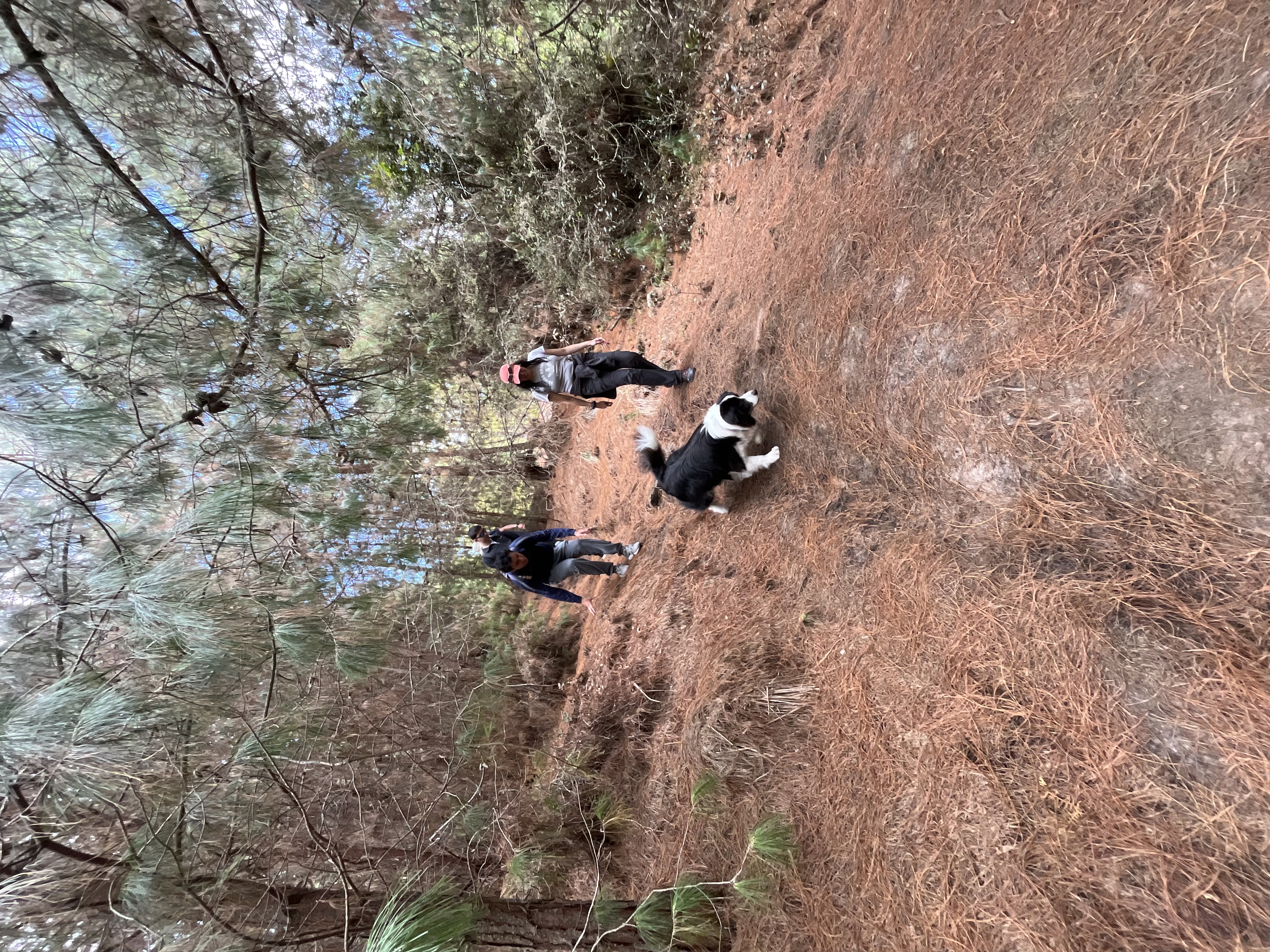 Caminata Tominé de Blancos