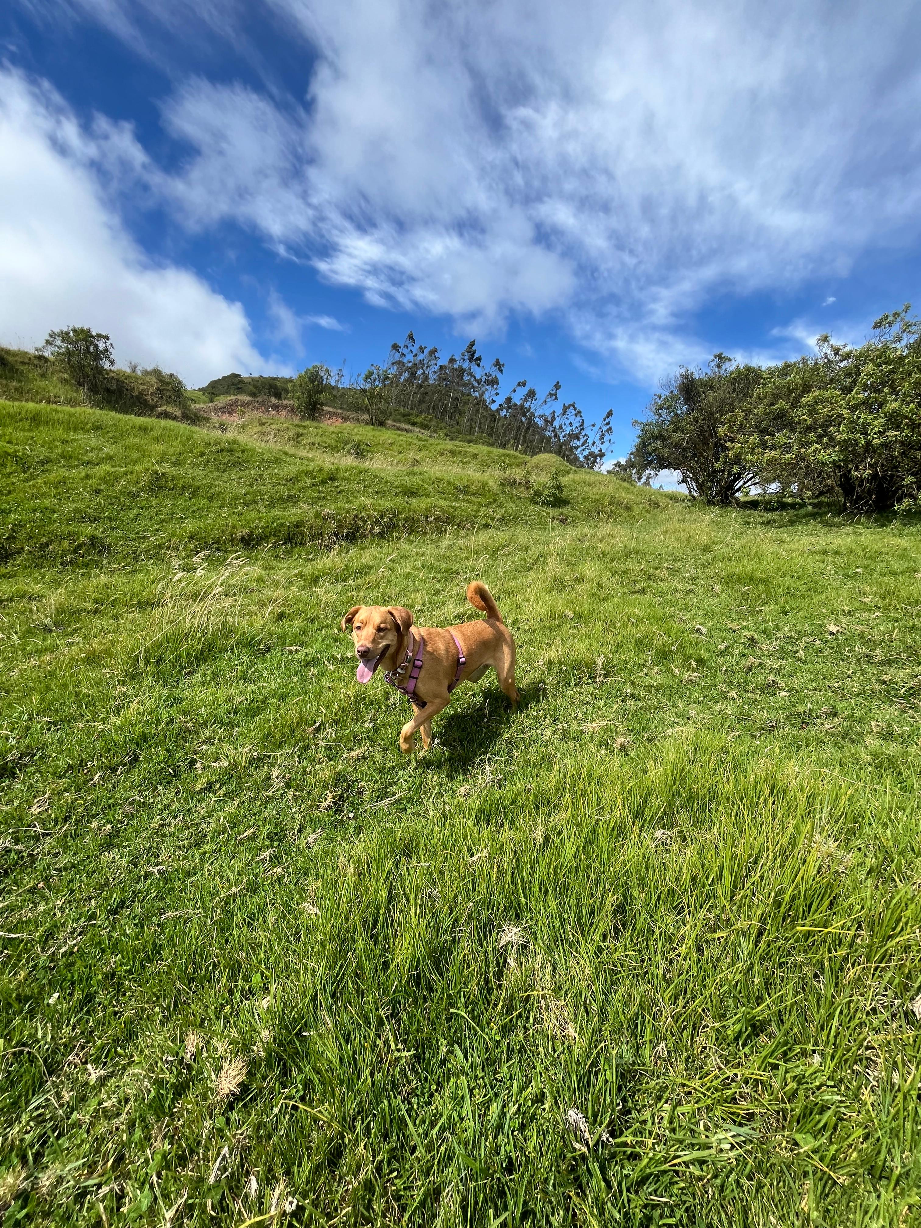 Peña de las Águilas 