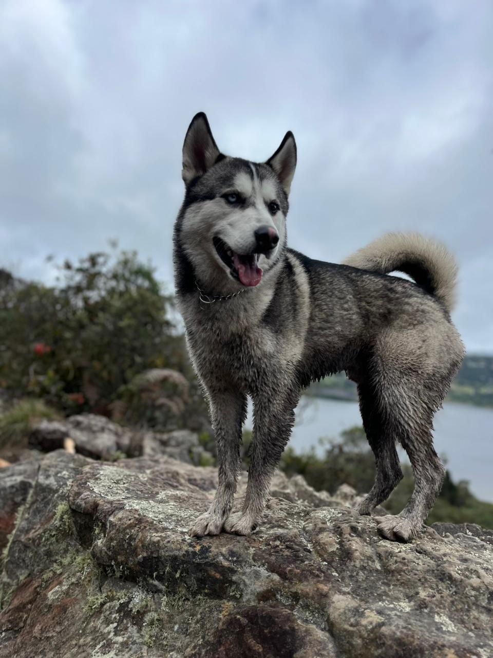 Camino del Indio - Version 1