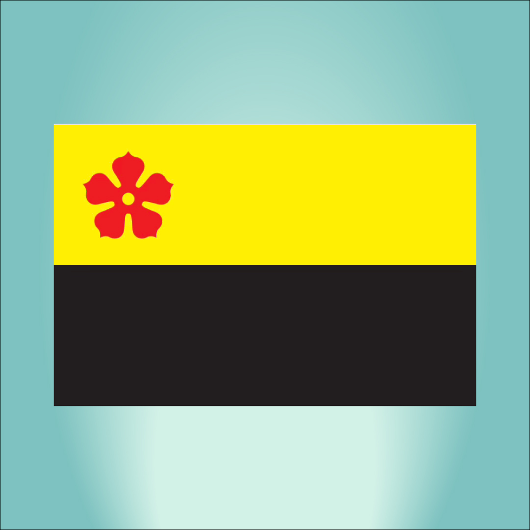 Skôn Orre Gatse vlag