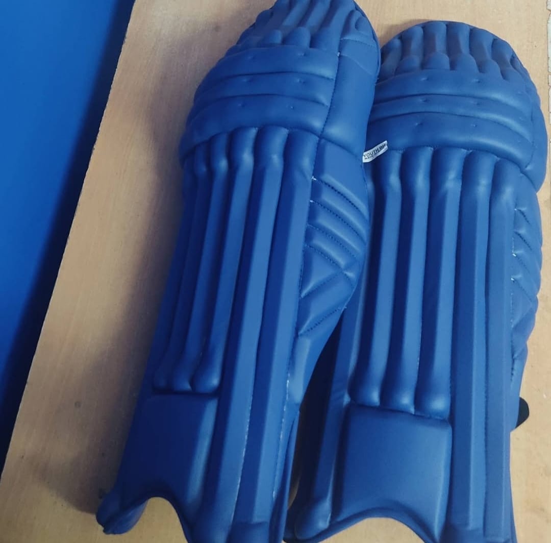 Professional Cricket Pads Blue