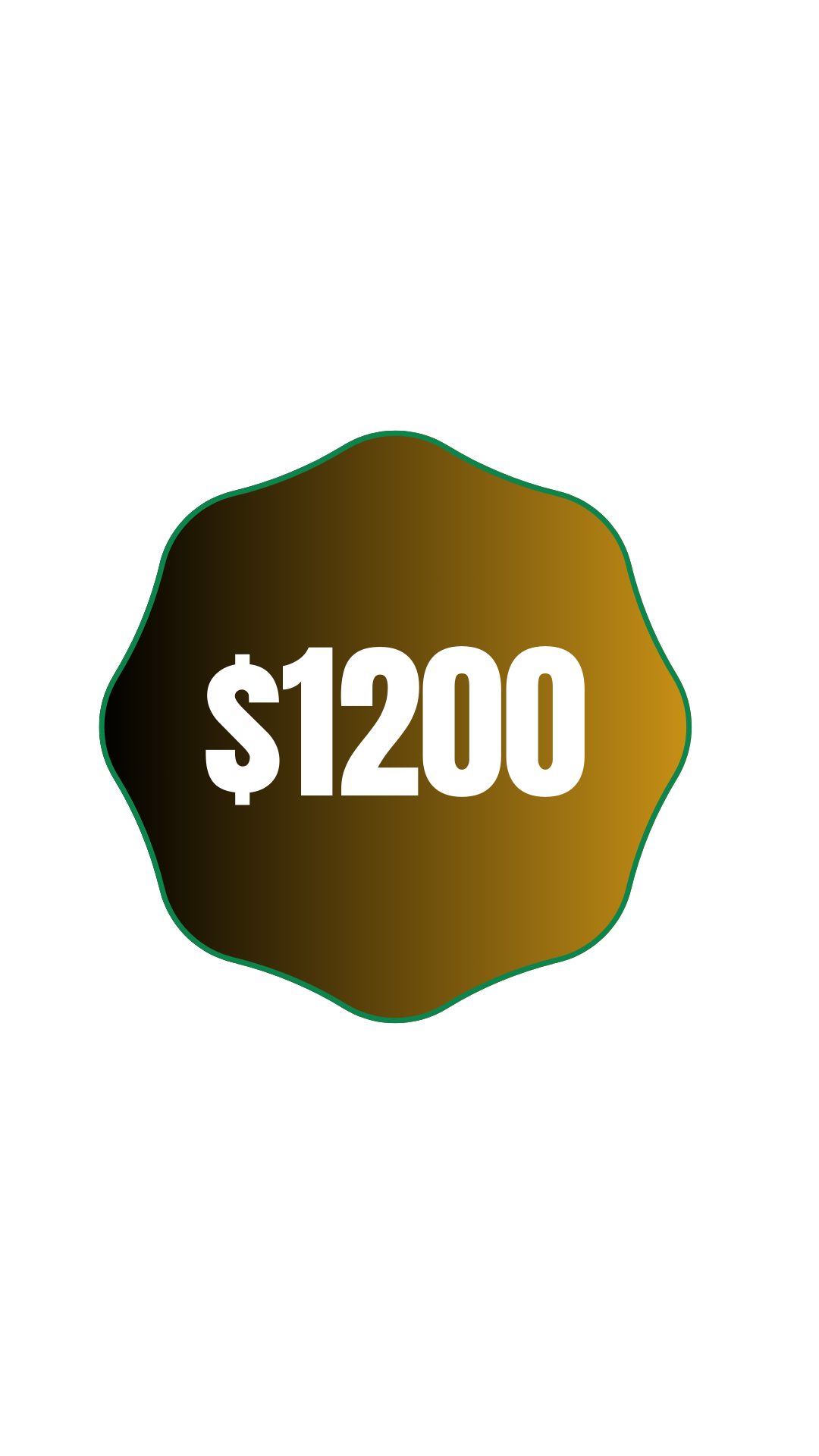 Professional Brand Package