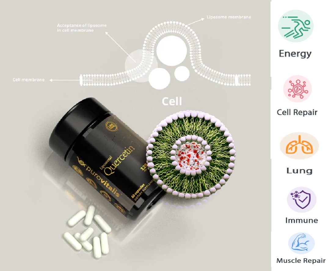 Liposomal Quercetin