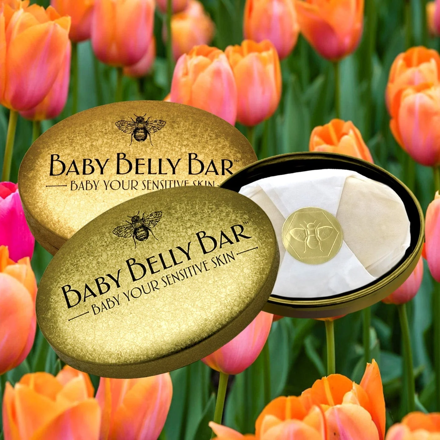 Baby Belly Bar Display Box - Free Tester - Save $