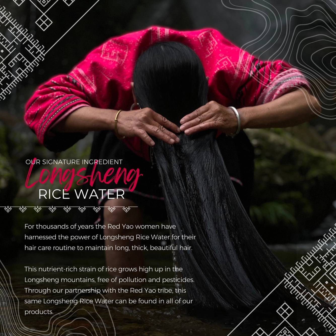 Rice Water Shampoo Bar | Terrace Garden | Dry Hair