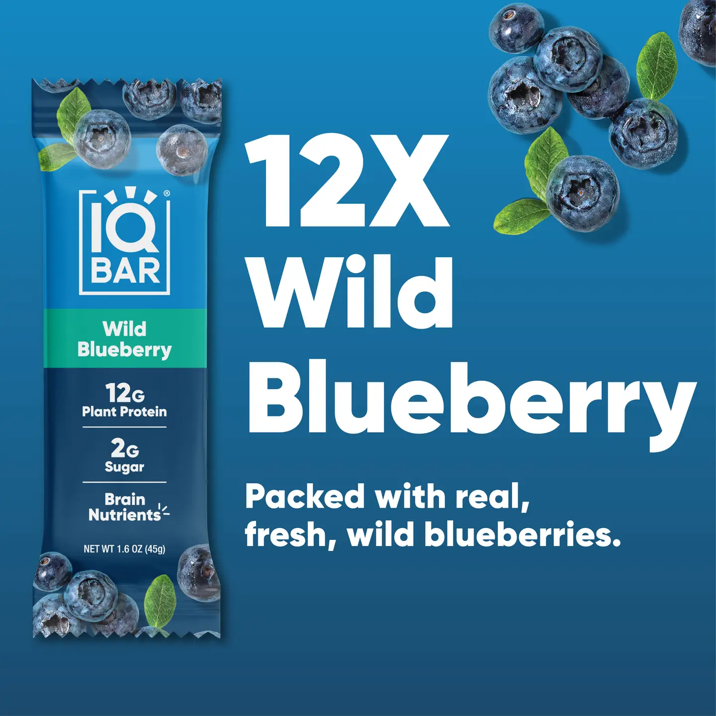 Wild Blueberry | Brain + Body Keto Protein Bars