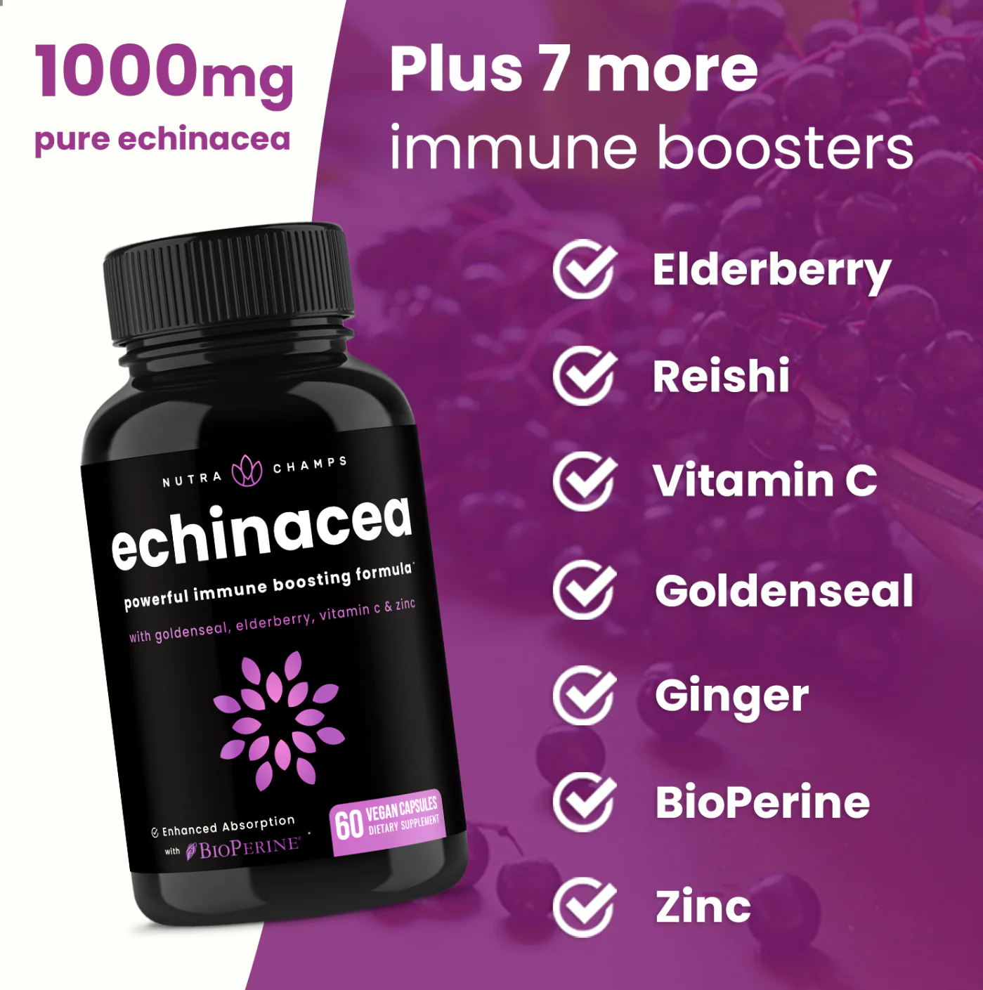 Echinacea