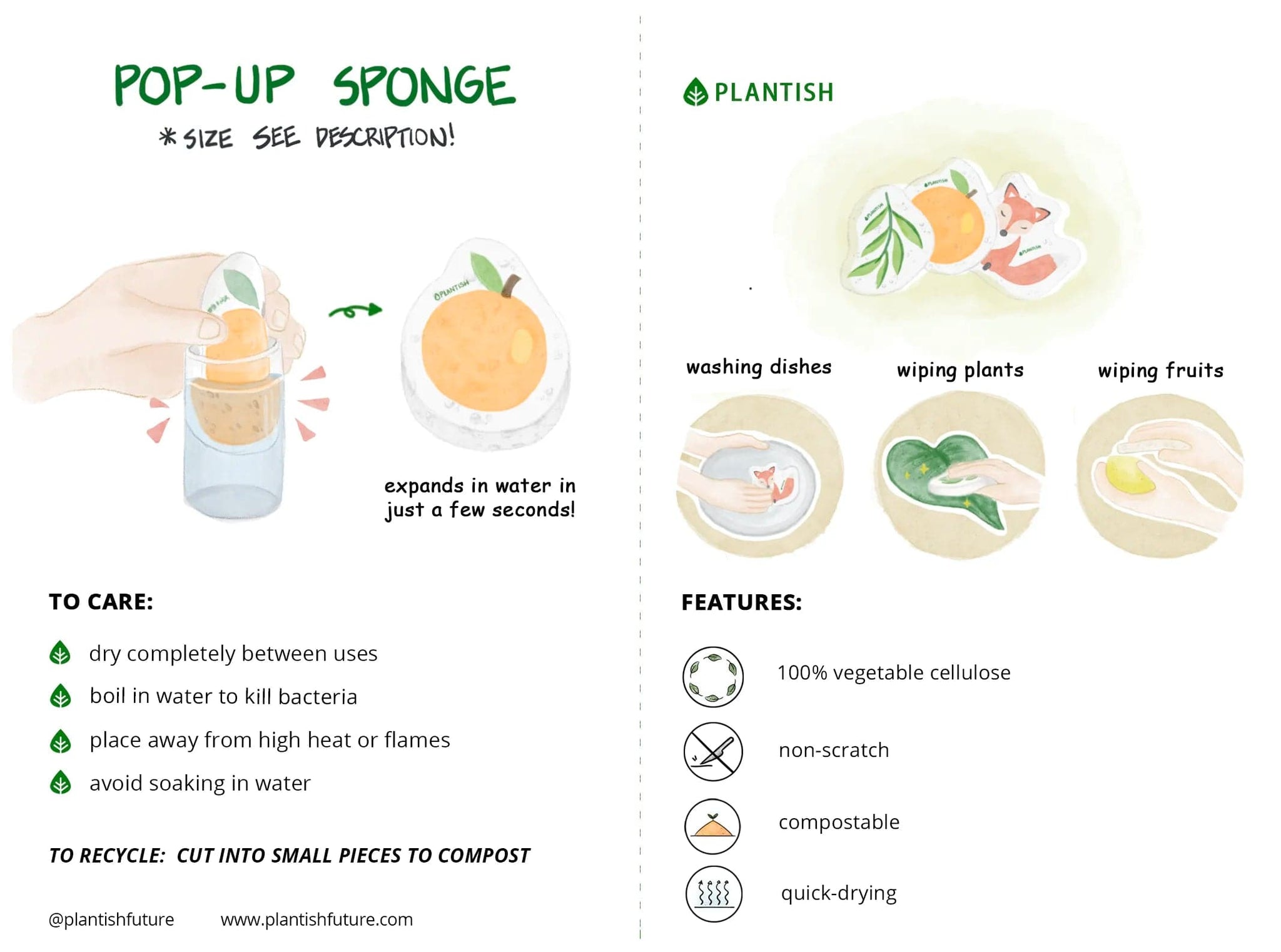 Set of 3 Enchanted Forest Pop up Sponges