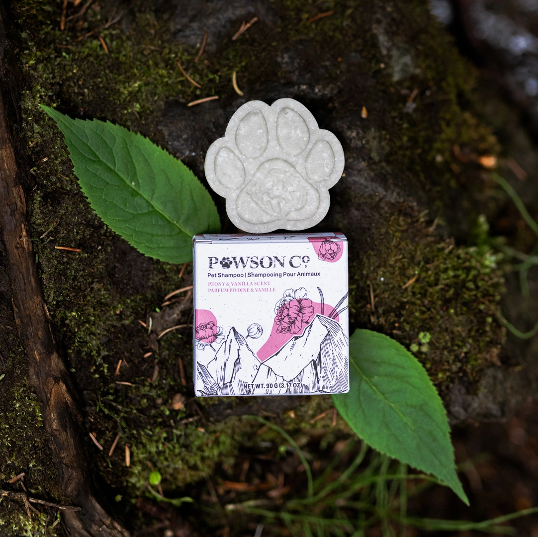 Pet Shampoo Bar | Pawson & Co | Peony Vanilla