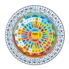 Signature Analysis & Marriage Compatibility
