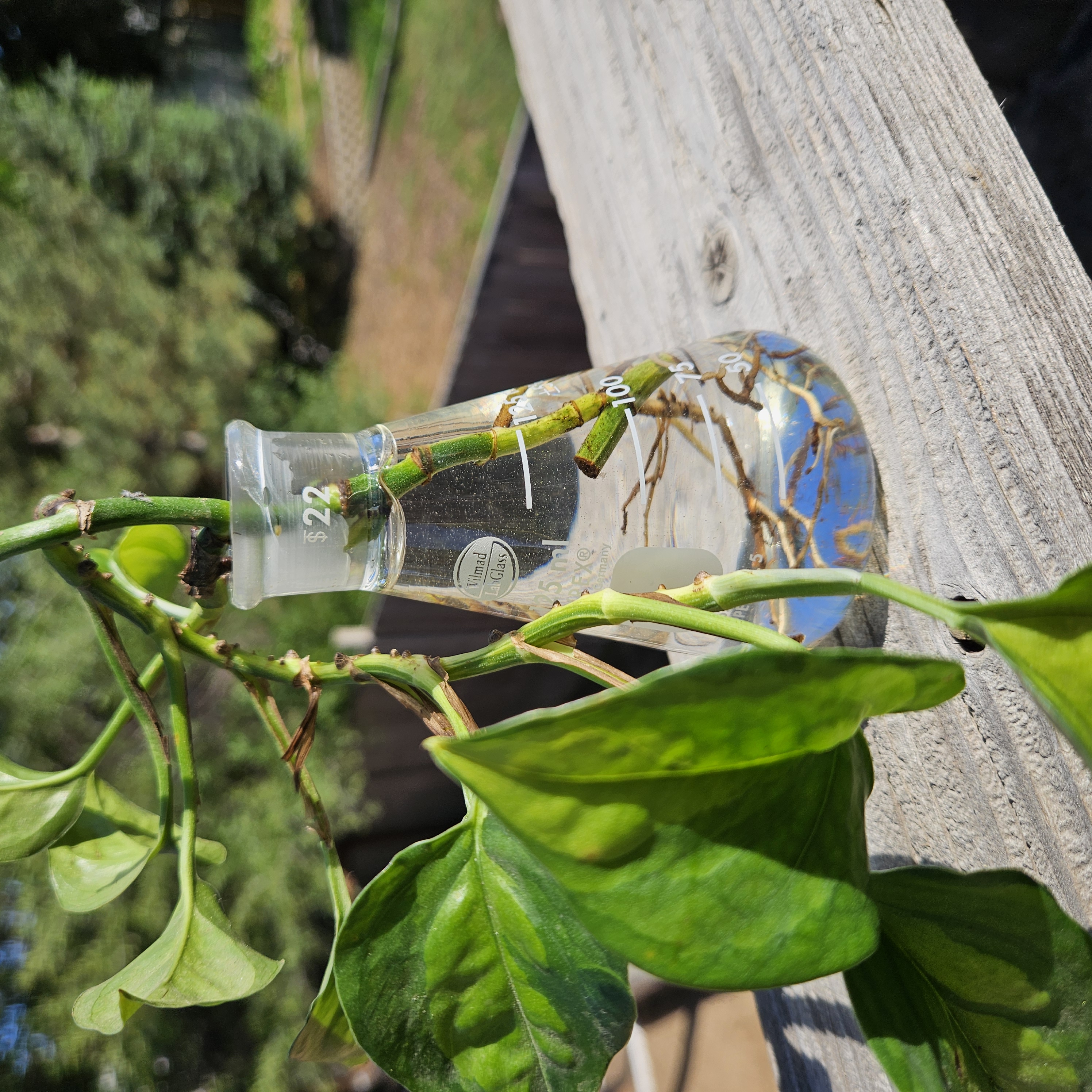 Chemistry Propagation Stations