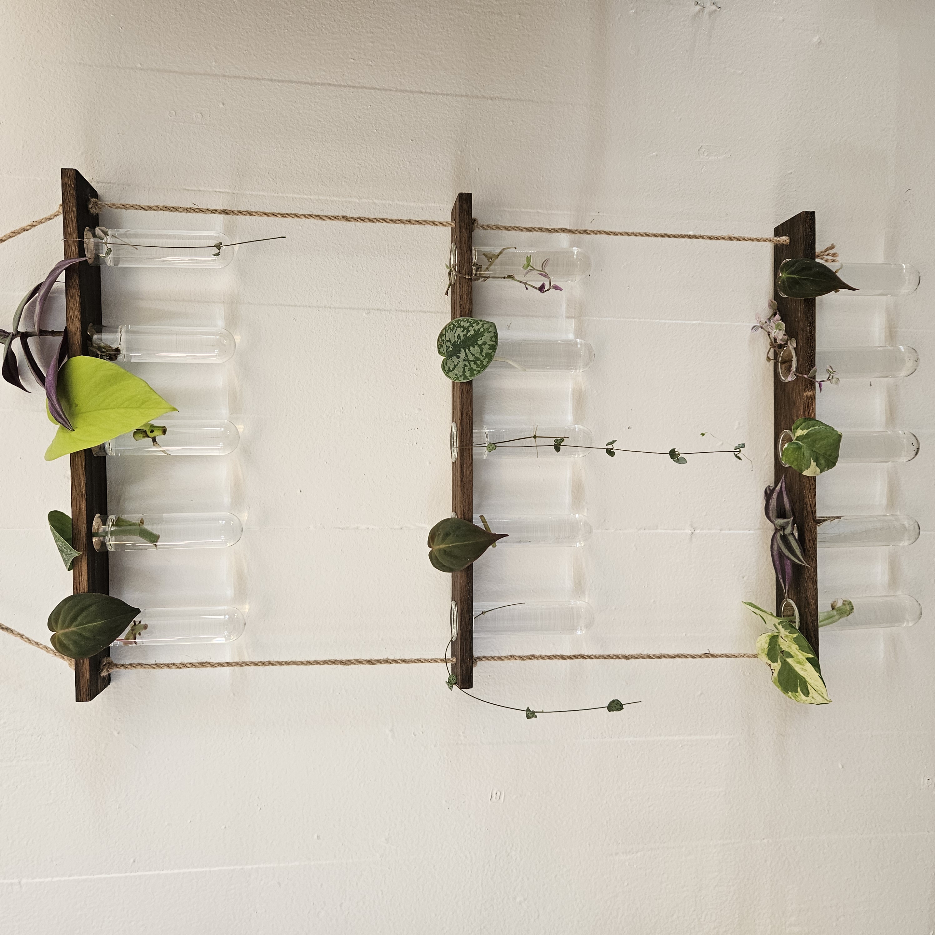 Test Tube Propagation Station 