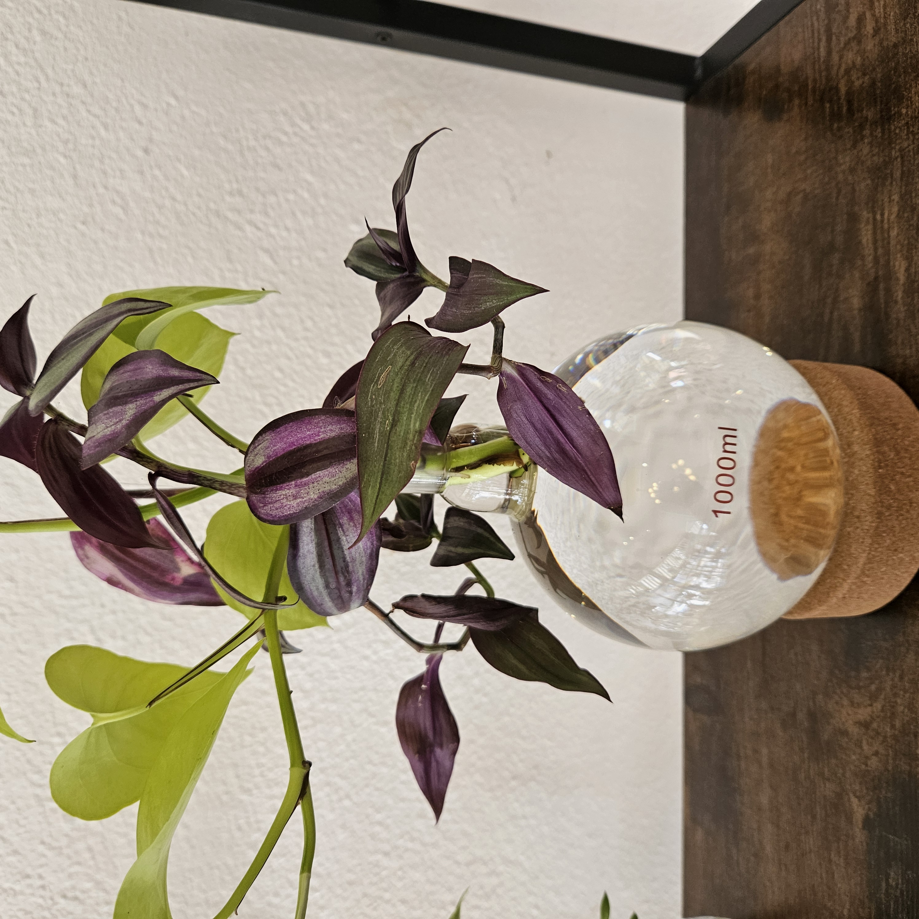 Chemistry Propagation Stations