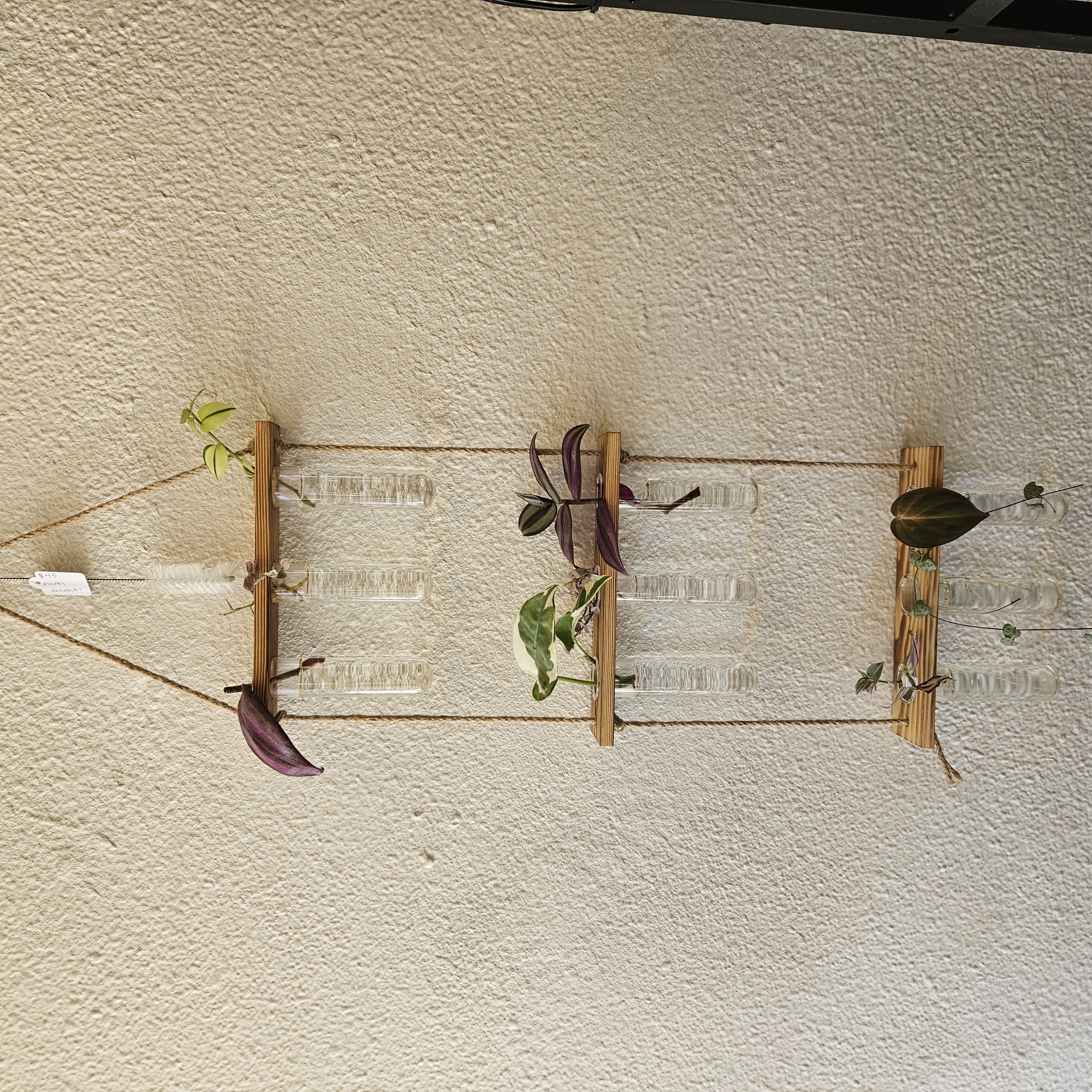 Test Tube Propagation Station 