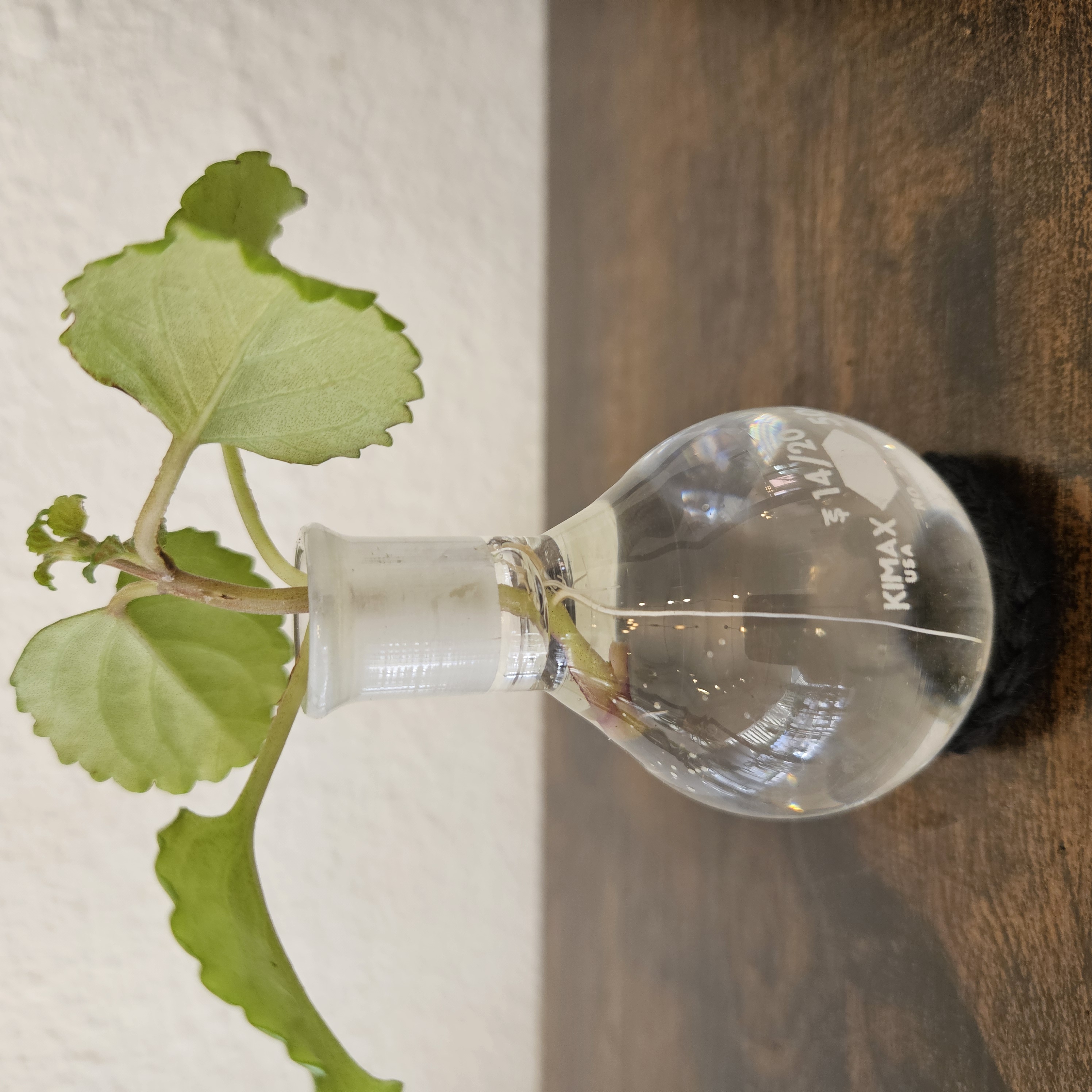 Chemistry Propagation Stations