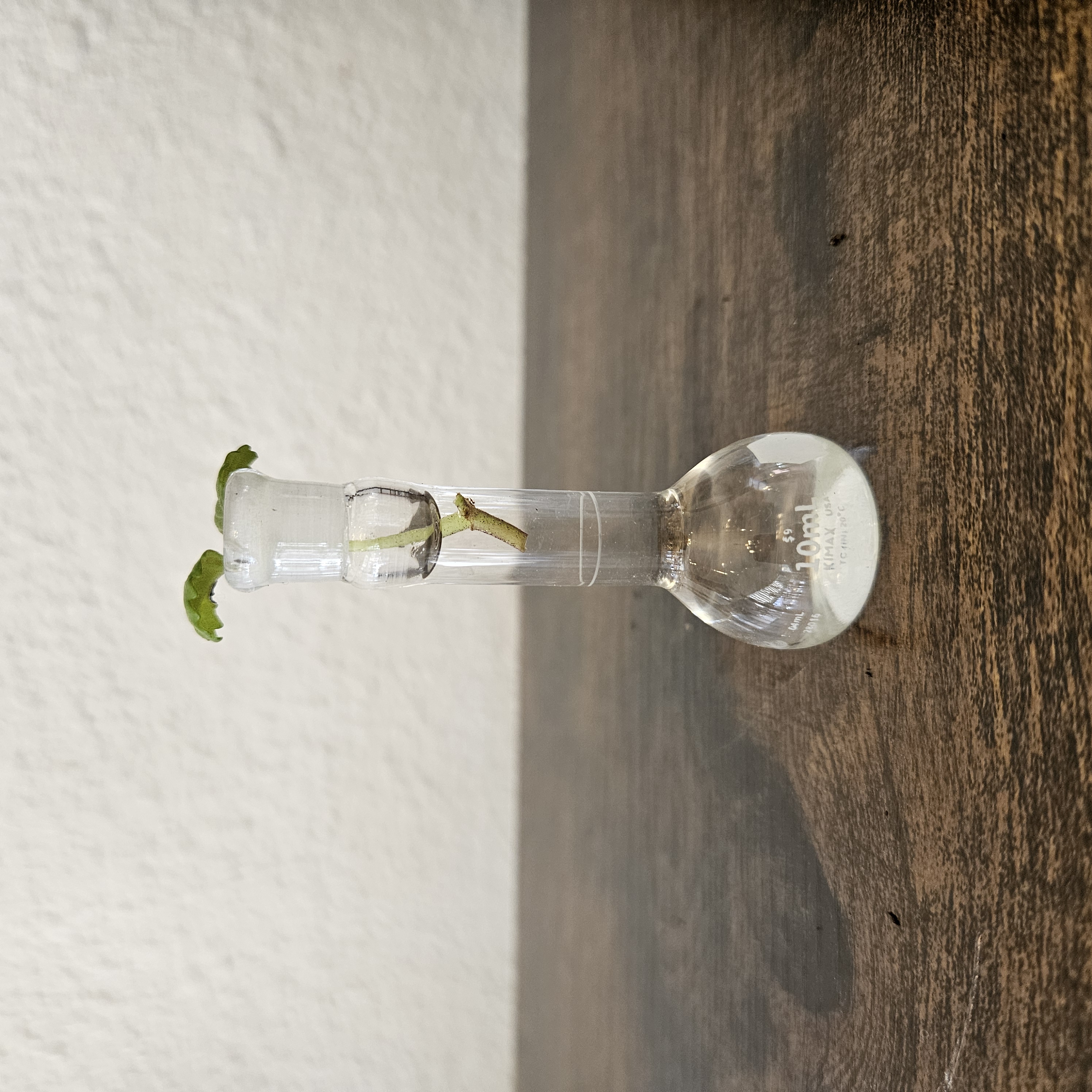 Chemistry Propagation Stations