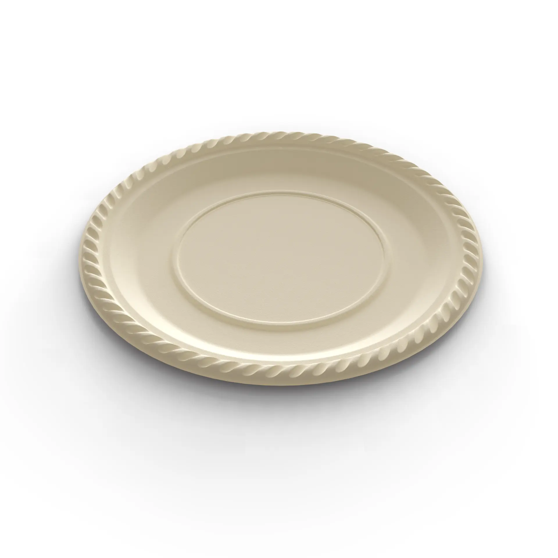 Ceramic Dinner Plate