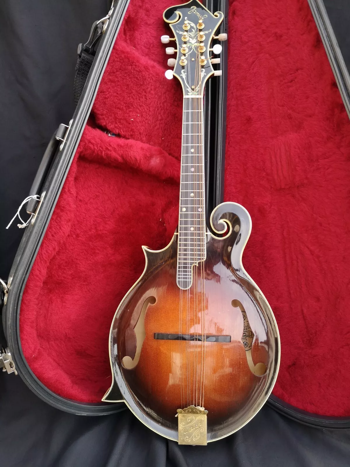 Rare Janish Hand Made left-handed Mandolin Stunning 