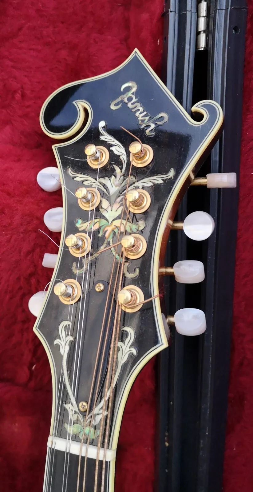 Rare Janish Hand Made left-handed Mandolin Stunning 