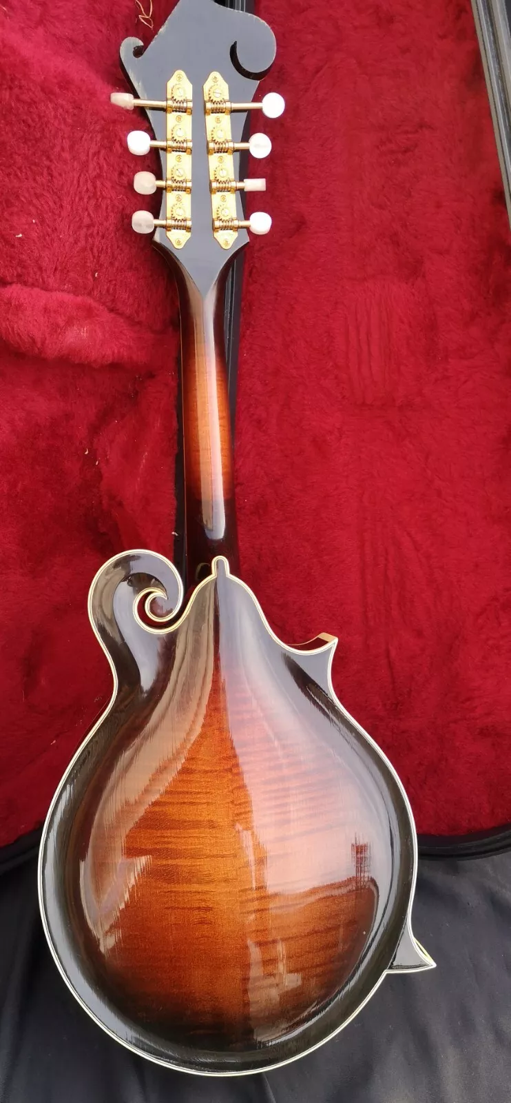 Rare Janish Hand Made left-handed Mandolin Stunning 