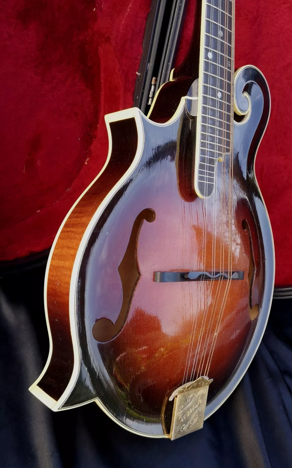 Rare Janish Hand Made left-handed Mandolin Stunning 
