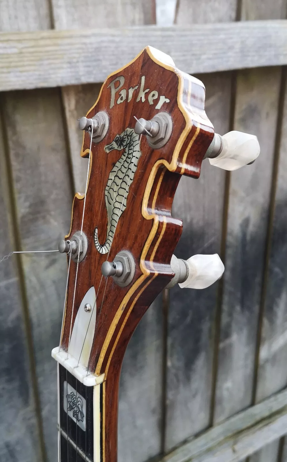 Very rare Parker " Packa " Plectrum Banjo with Original Brief Case 