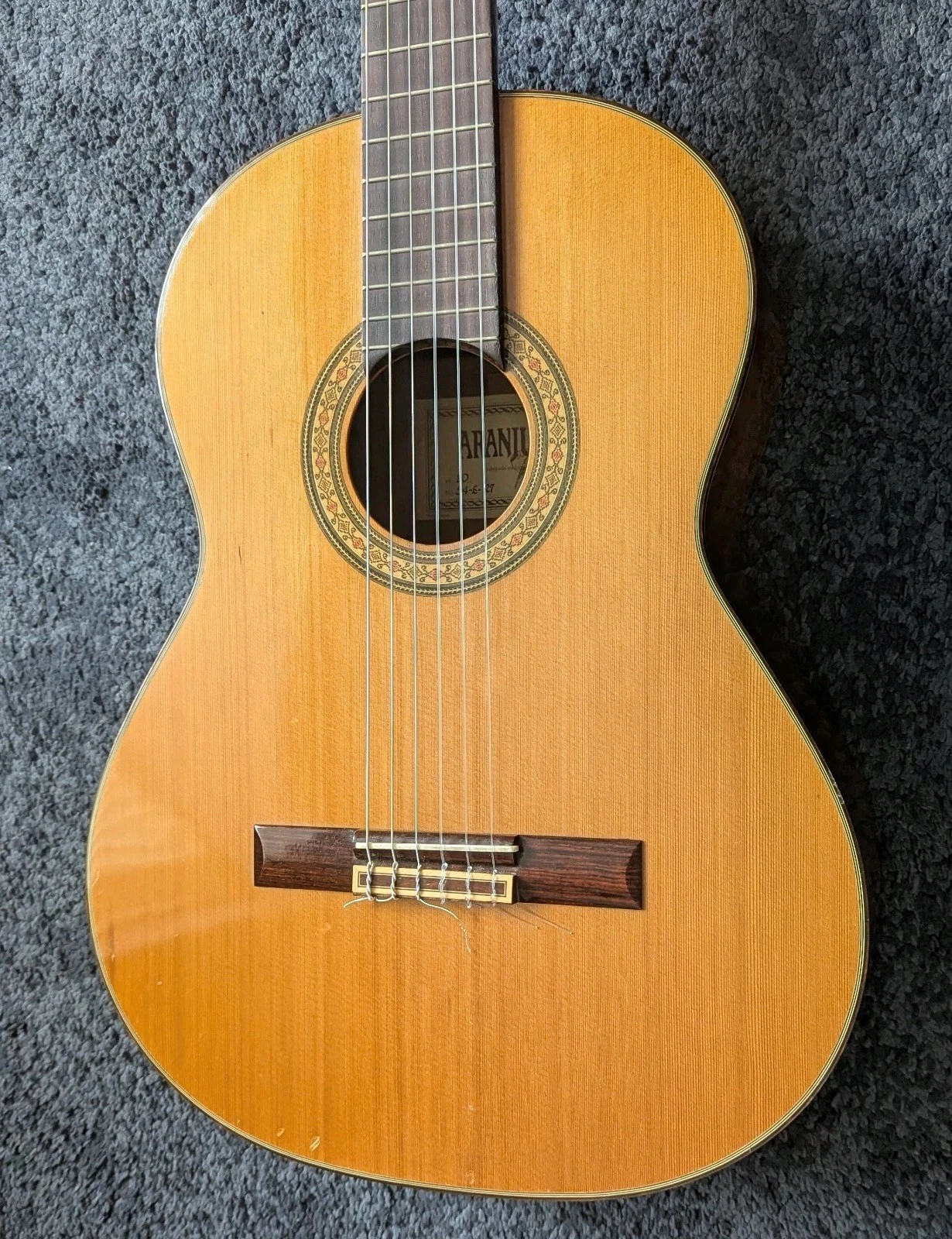Classical Acoustic Guitar