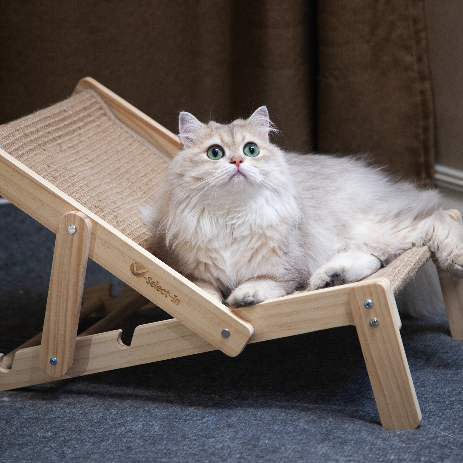 Cat Sisal Chair