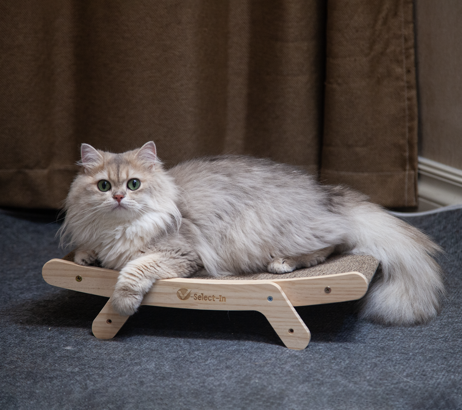 Cat Scratching Bed