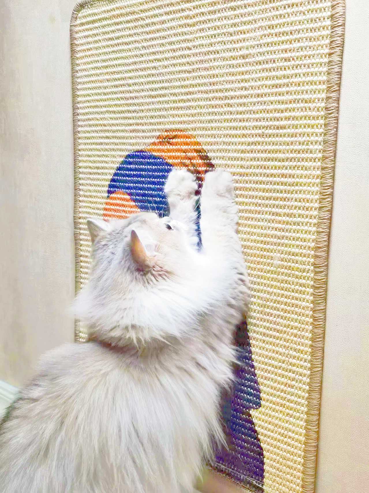 Artistic Sisal Cat Scratcher Post Mat (Pearl Earring)