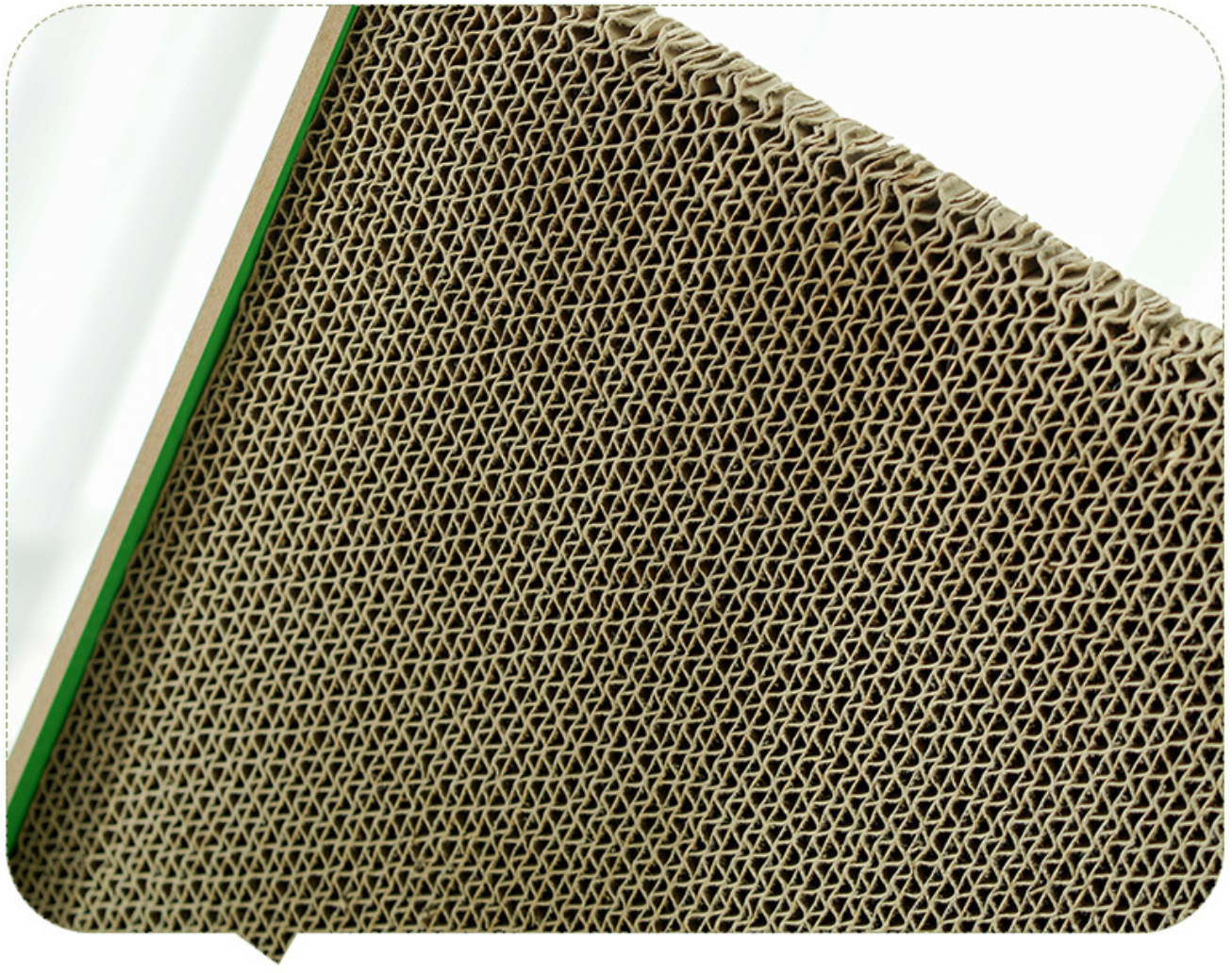 L-Shaped Cactus Cat Scratcher – Sturdy Cardboard Cat Scratch Pad for Claw Care and Play