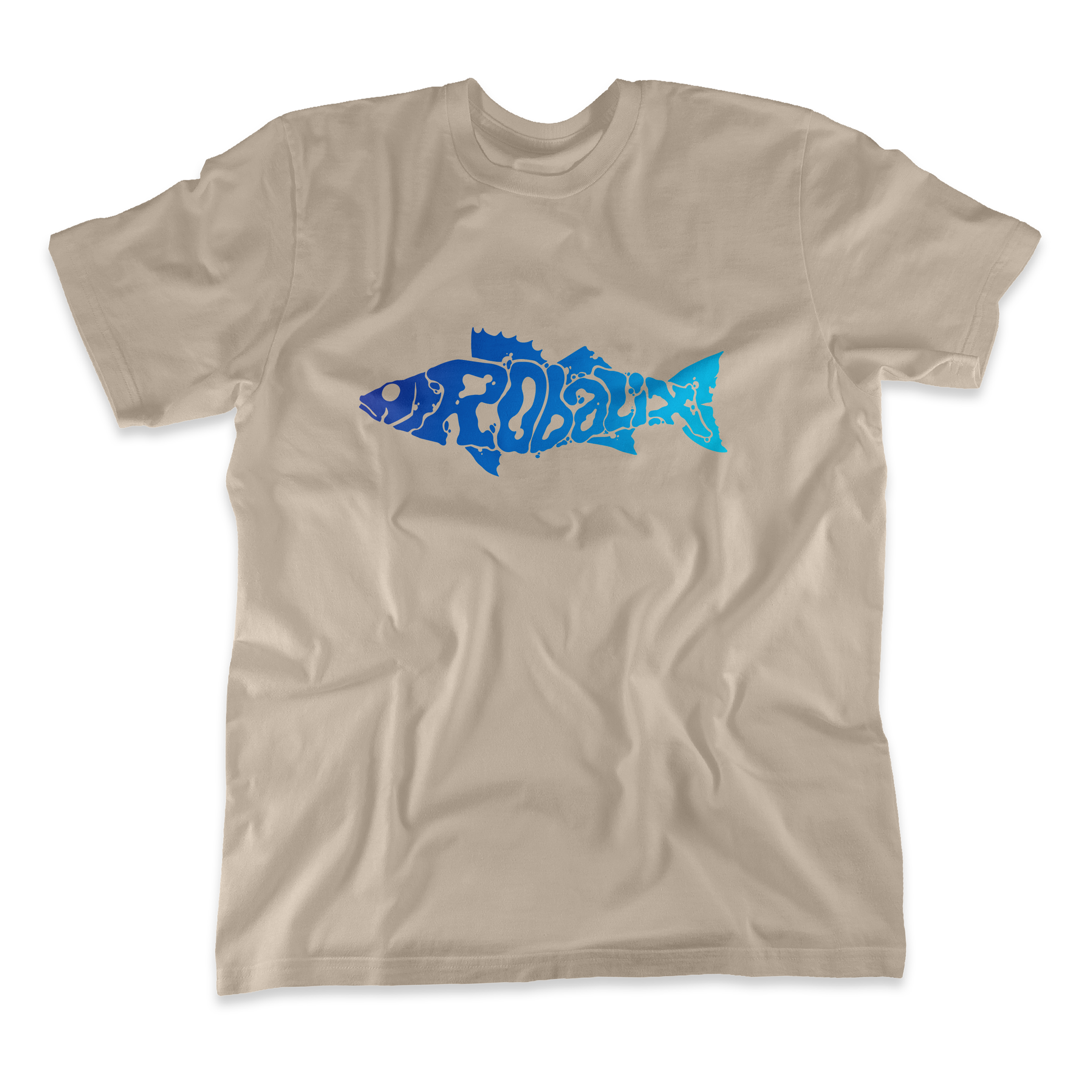 Logo Robalix - Arena