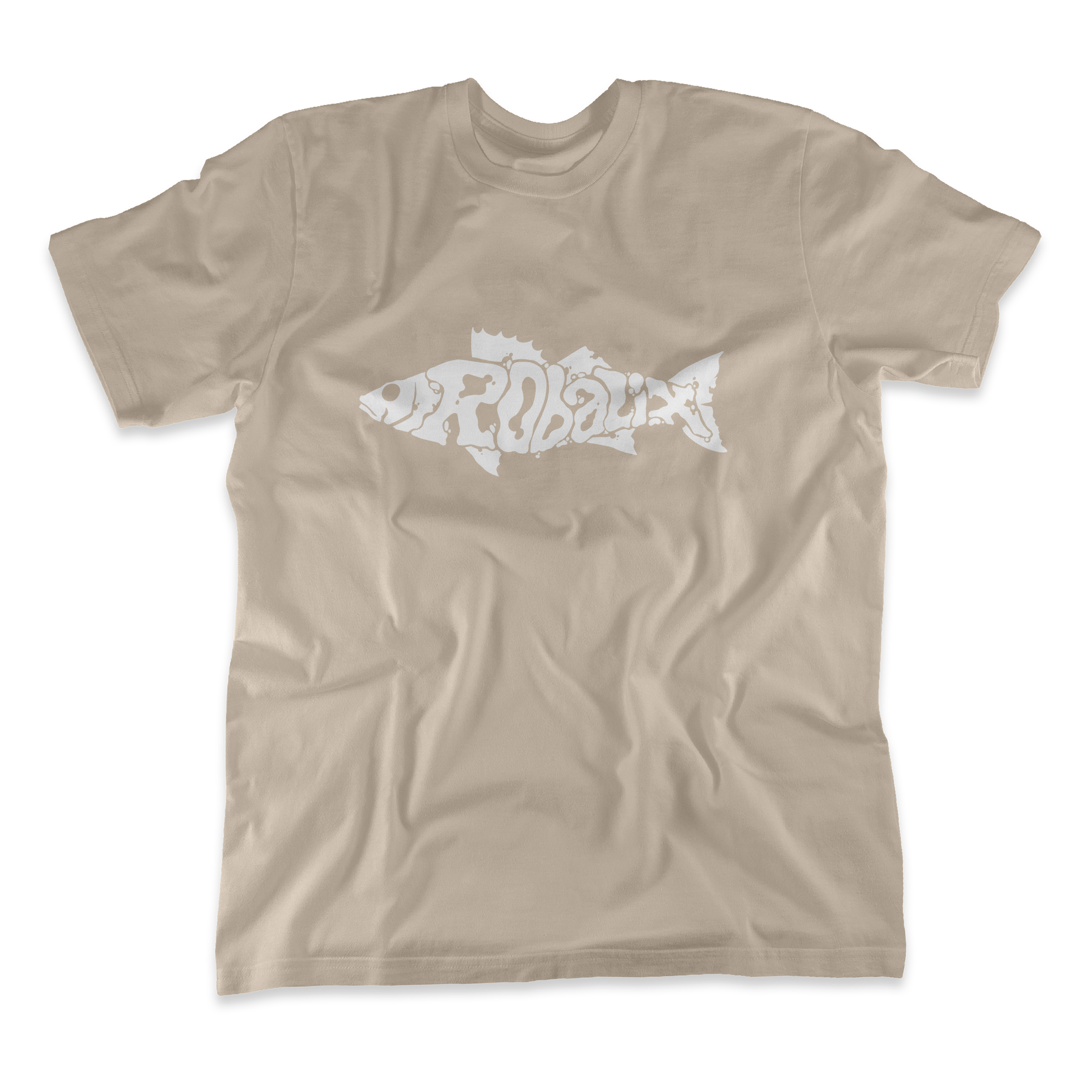 Logo Robalix - Arena