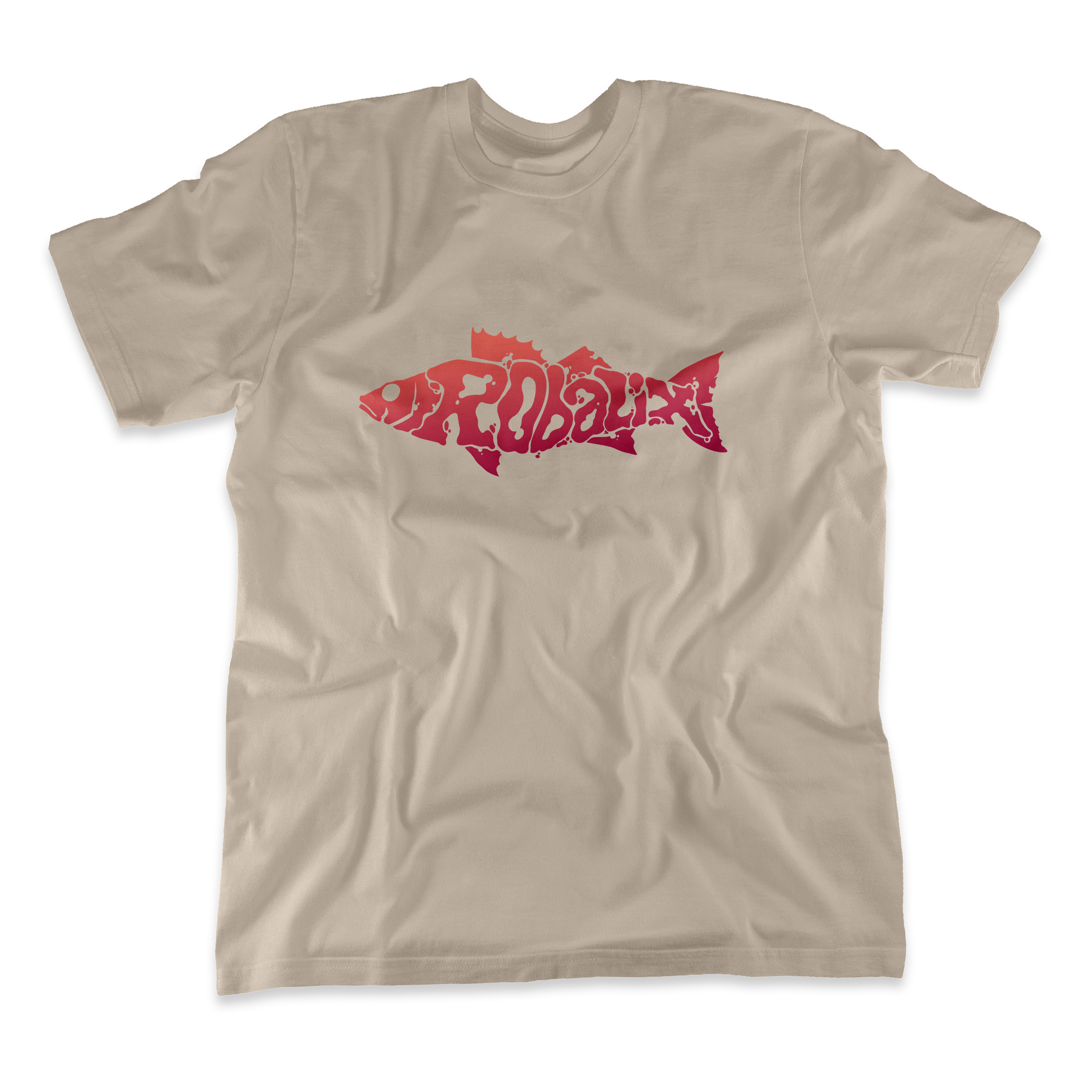 Logo Robalix - Arena