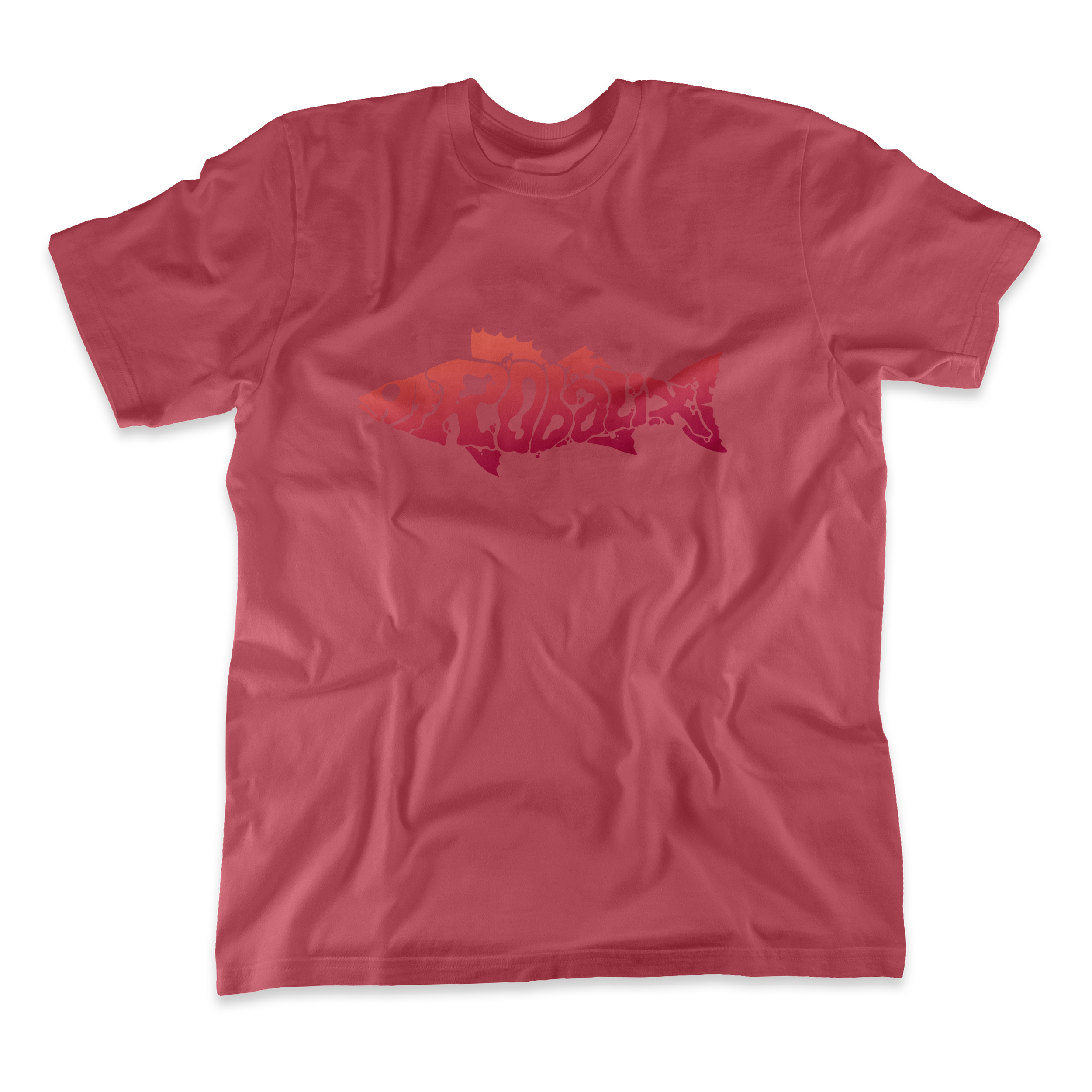 Logo Robalix - Coral