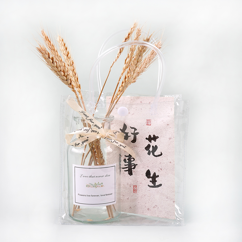 Bolsa de regalo PVC TRANSPARENTE 