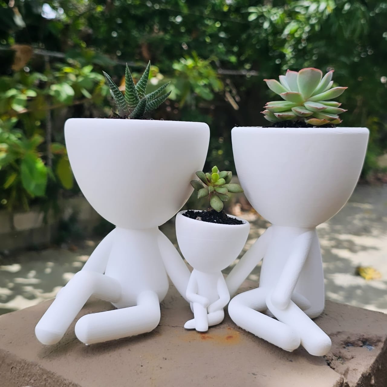 Macetas Familia Robert