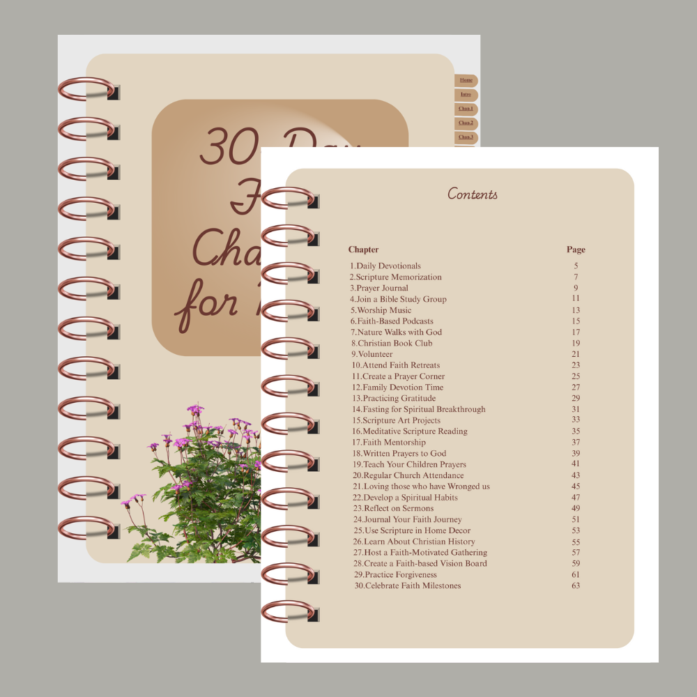 30-Day Faith Challenge for Moms