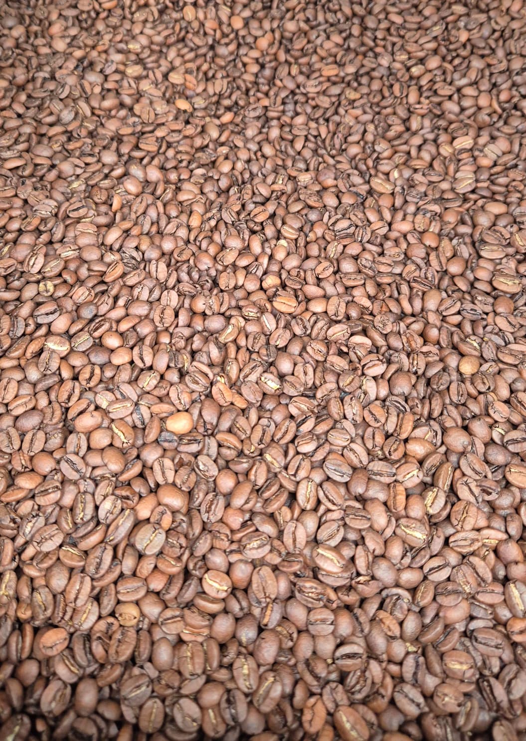 Alma Single Origin - Catiguá Farm - Brazil