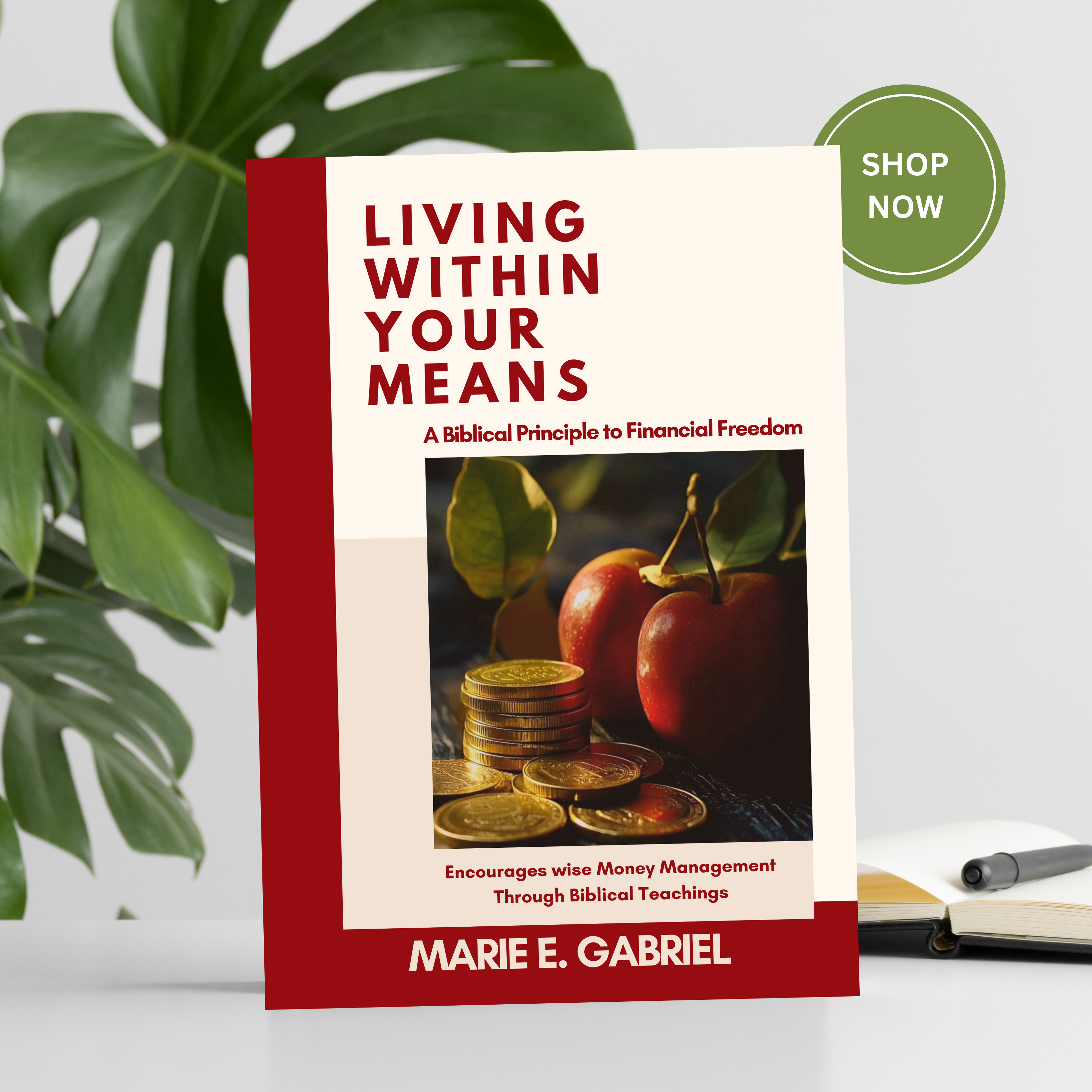 Living Within Your Means