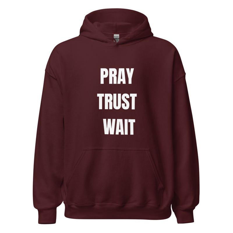 Unisex Hoodie – Pray. Trust. Wait.