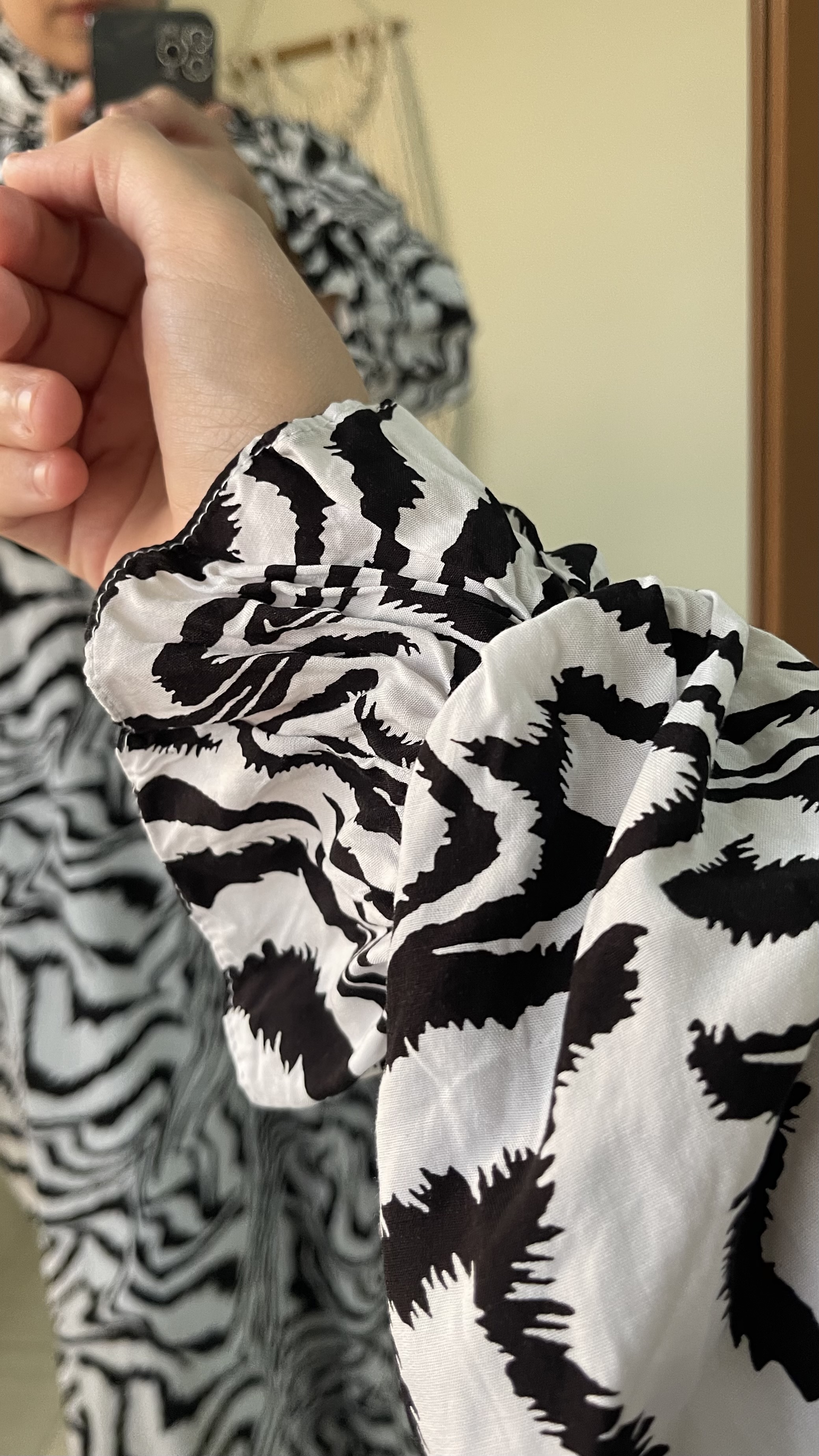 Zebra Flow Isdal