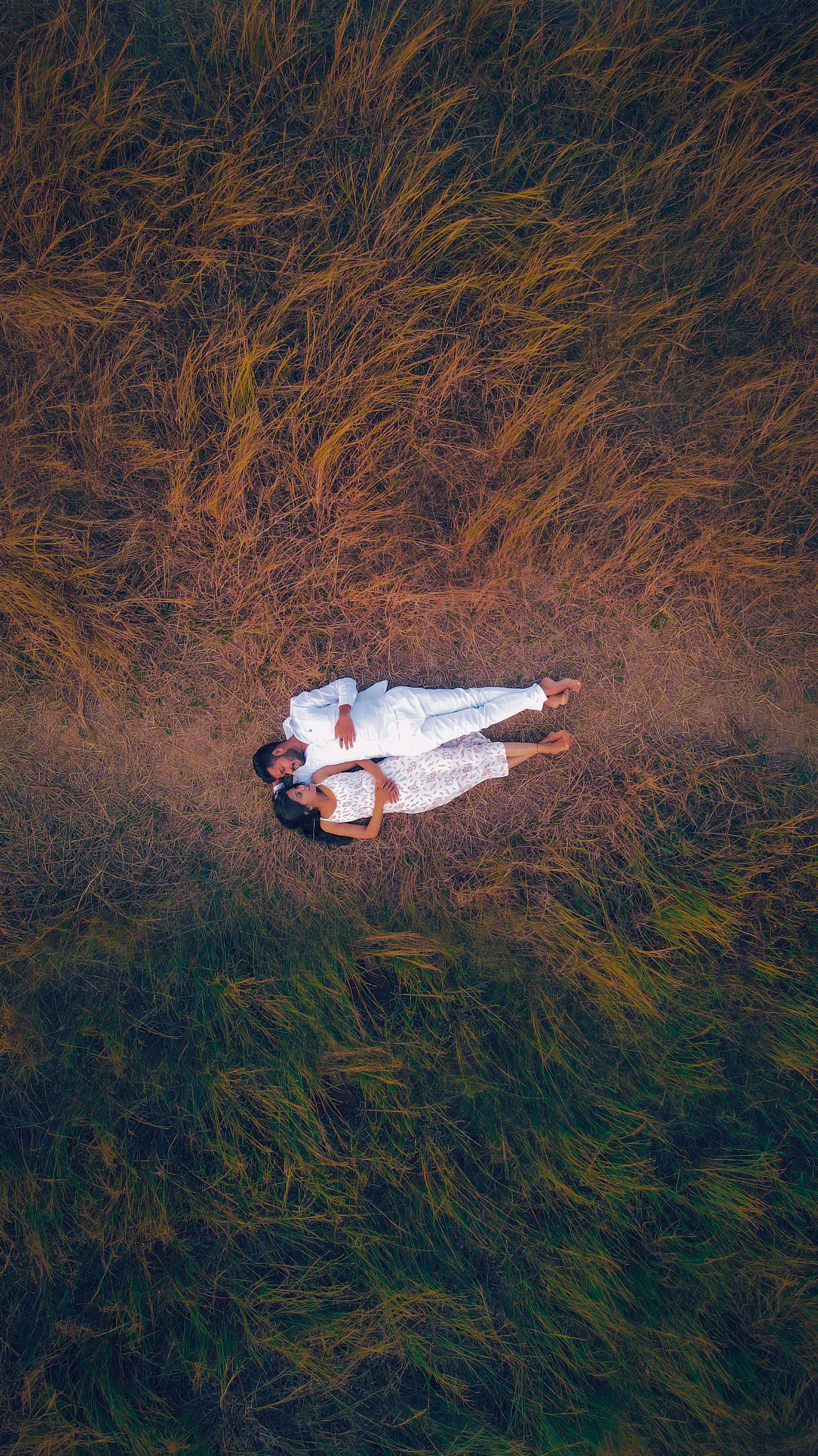 Love Takes Flight